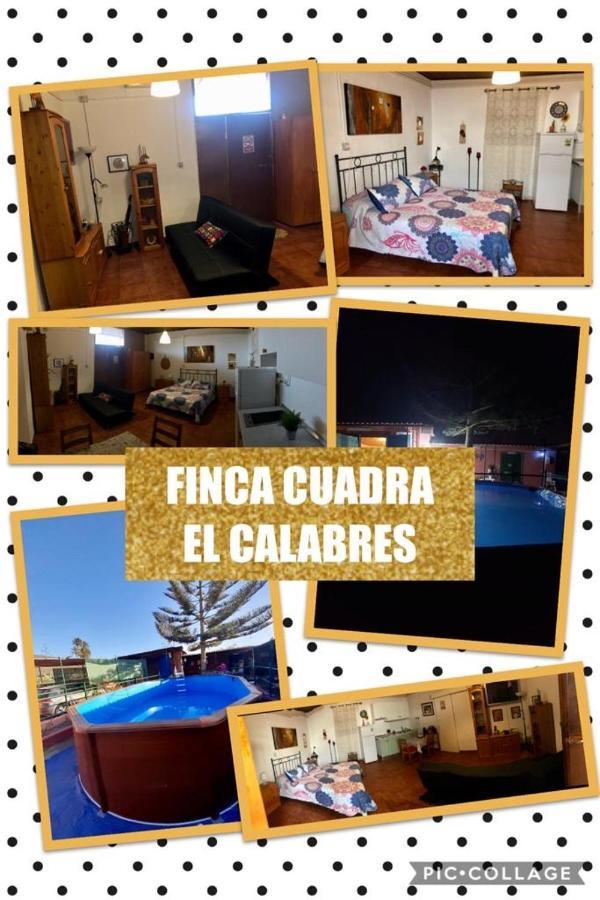 La Cuadra Finca El Calabrés Agüimes Esterno foto